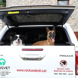 rockandroll.cat - Equipo - dc d da d c b a png