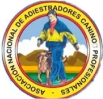 rockandroll.cat - Inicio - e ca e e e e f c png