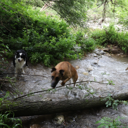 rockandroll.cat - Equipo - bcc e f a af d c c a c a png