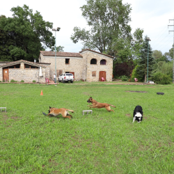 rockandroll.cat - Equipo - c df cc a b ee a efbeb png