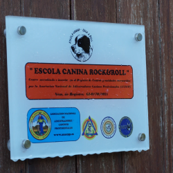 rockandroll.cat - Inicio - d c f bec a d fcb b c png