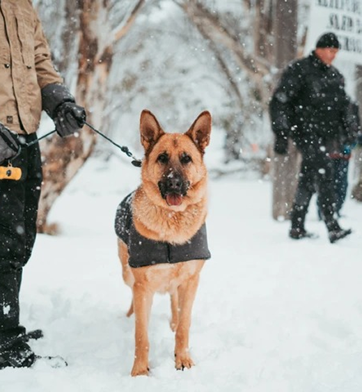 rockandroll.cat - Actividades deportivas - image