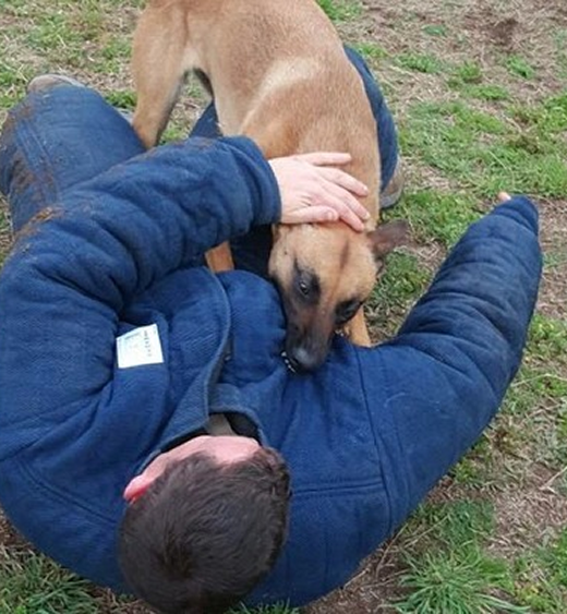 rockandroll.cat - Actividades deportivas - image