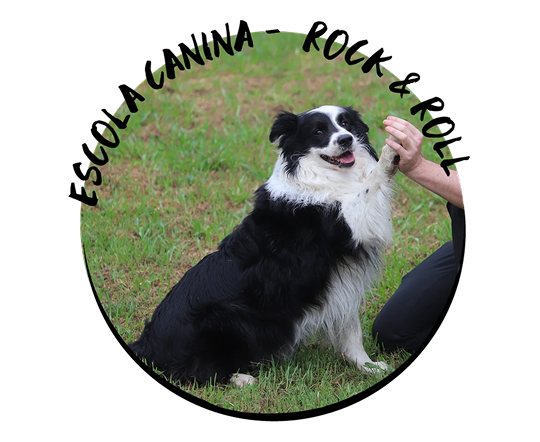 rockandroll.cat - Equipo - image