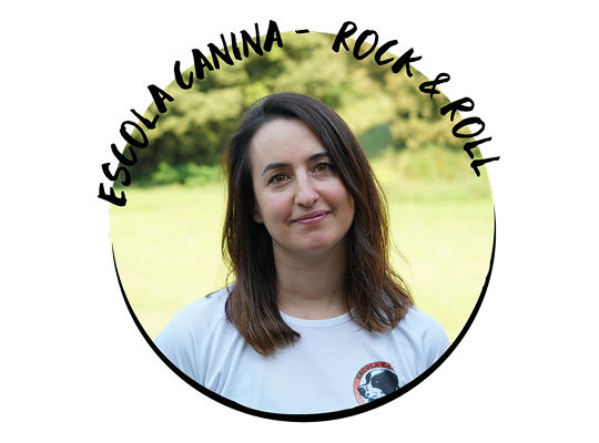 rockandroll.cat - Equipo - image