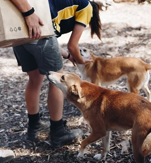 rockandroll.cat - Actividades deportivas - image
